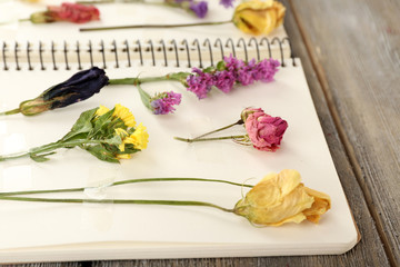 Dry up plants on notebook on wooden background