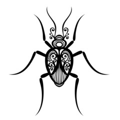 Vector Beautiful Beetle, Exotic Insect. Patterned design, Tattoo