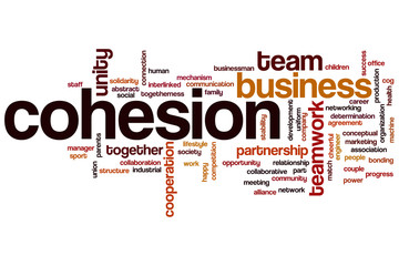 Cohesion word cloud