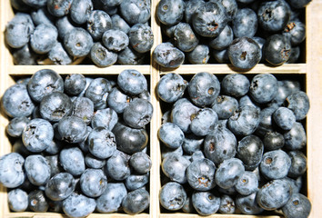 Tasty ripe blueberries in wooden crate, close up