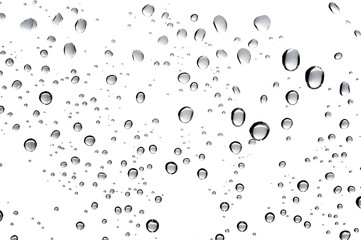 Water Droplets