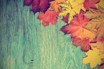 Autumn frame