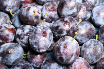 Ripe sweet plums, close up