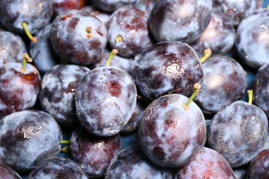 Ripe sweet plums, close up © Africa Studio