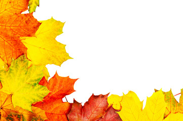 Autumn leaves frame