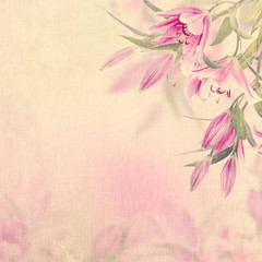 Pink lilies background