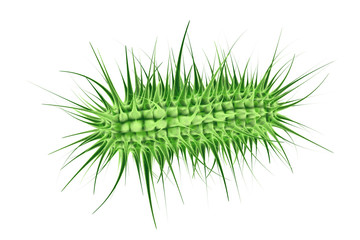 Ecoli bacterium - 3D Render