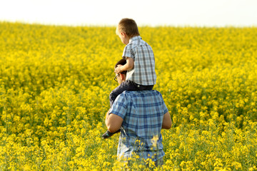 Fototapeta premium happy family in a field of yellow flowers