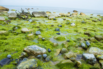 Ostseeküste in Dänemark