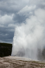 Old Faithful