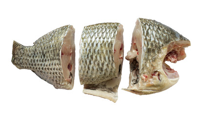 Pieces of Tilapia on a white background