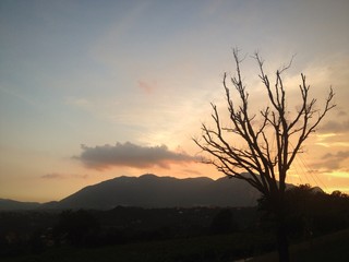 Naklejka premium tramonto