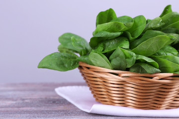 Fresh sorrel in round wicker basket