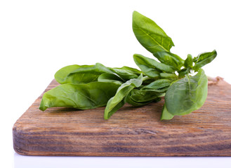 Tuft of fresh sorrel on wooden cutting board isolated on white