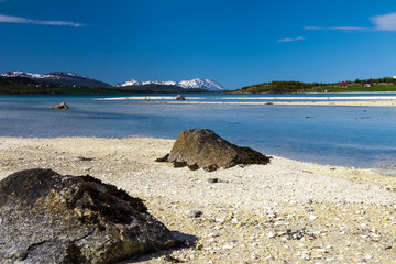 Paradise beach of Lofoten