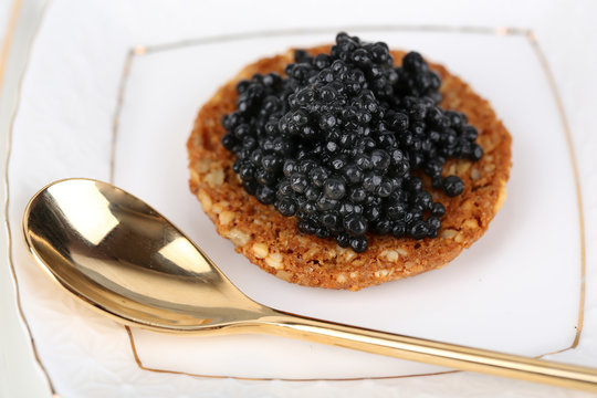 Black caviar on crispy bread on plate closeup