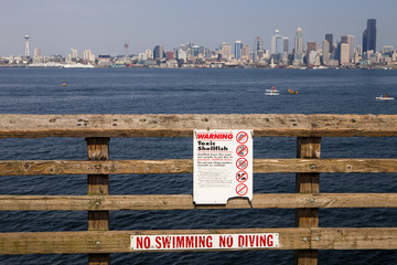 No Swimming, No Diving