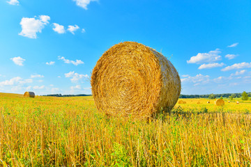 Haystack