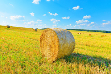 Haystack