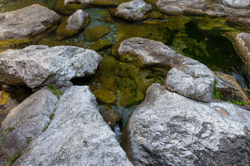 Naklejka na ściany i meble Stones covered with algae in the clear water