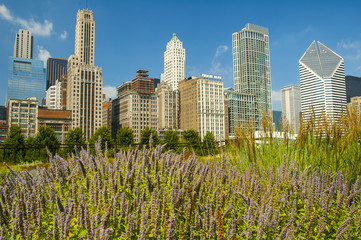 Chicago skyscrapers - 69511144