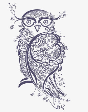 Owl. Beautiful graphics illustration.