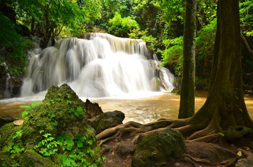 Obraz premium Waterfalls in Tropical Rain Forests
