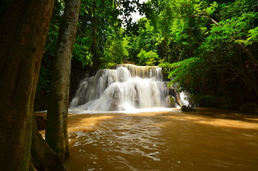 Obraz premium Waterfalls in Tropical Rain Forests