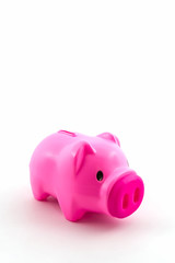Pink piggy bank saving.