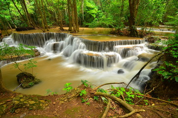 Deep Forest Waterfalls