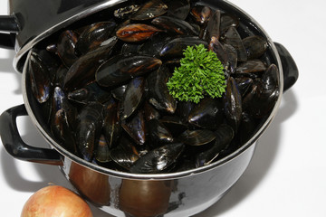moules