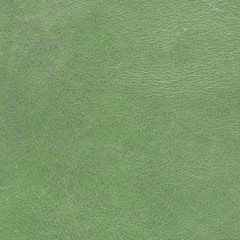old light green leather texture.