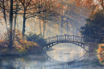 Fototapete Romantischer Stil Herbst - Alte Brücke im nebligen Herbstpark