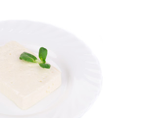 Tofu cheese on white plate.