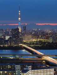 beautiful view of Tokyo city with Tokyo sky tree at sunset time