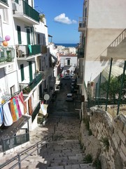 Interno Vieste (FG)