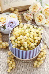 White currant