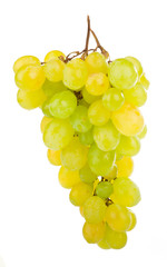 bunch of grapes