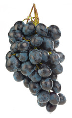 bunch of grapes