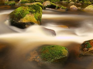Mossy stones in foamy water of mountain stream, blurred stream