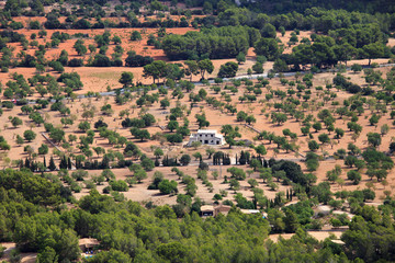 Obraz premium Landschaft auf Mallorca