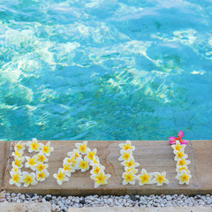 Word Bali written with frangipani flowers