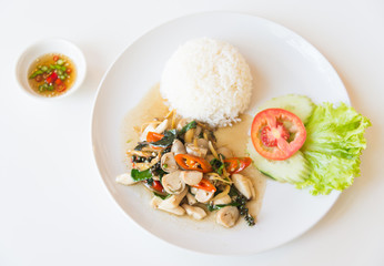 Rice and stir fried mushroom