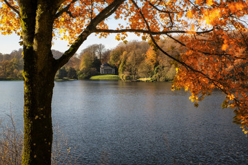 Trees and main lake in Stourhead Gardens during Autumn.