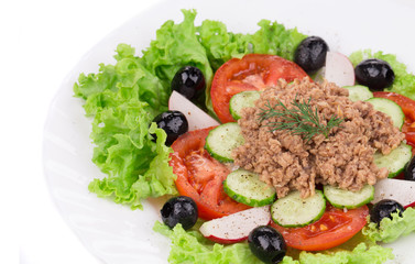 Close up of tuna salad.
