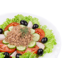 Close up of tuna salad.