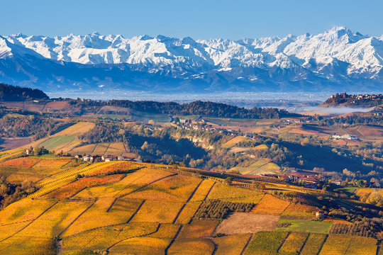 Autumnal hills and snowy mountains in Piedmont, Italy.
