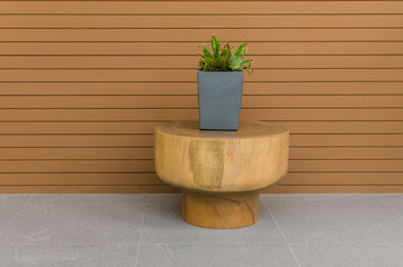 Plants in modern grey pot on round wood table with wood panel