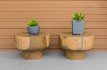 Plants in modern grey pot on round wood table