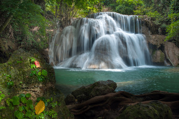 Obraz premium waterfall in deep forest
